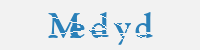 보안문자